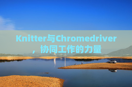 Knitter与Chromedriver，协同工作的力量